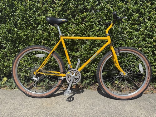 Mountain bike rockhopper - mountain,