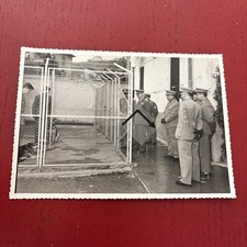 Maslianico,gruppo Cinofilo,guardia Finanza,divisa, Militari,gabbie,caserma ,AGO7