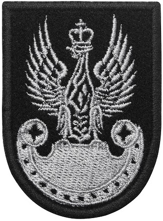 669 ww2 esercito polacco - ww2,