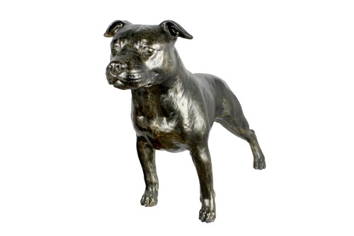 Staffordshire bull terrier - bull, ii