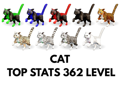 Cat top stats arca - top,