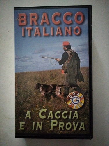 Bracco italiano caccia e - bracco,
