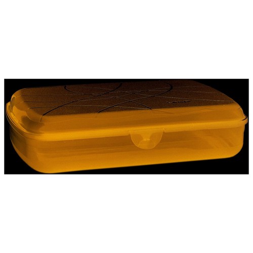 Scatola contenitore per - scatola,