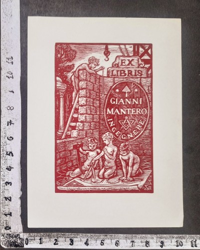 Wunderkammer exlibris 494 - exlibris,