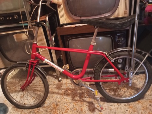 Bicicletta saltafossi vintage