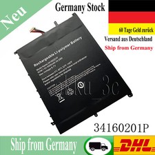 34160201P 31160201P Batteria