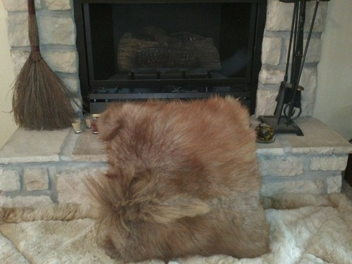 Cuscino ruggine mq - cuscino, ruggine,