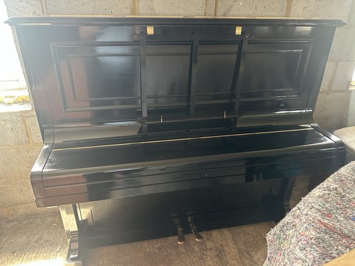 Bechstein 1924 modello - , x