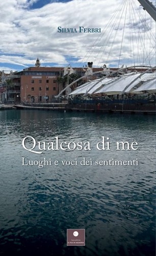 Libri ferbri silvia - libri, qualcosa
