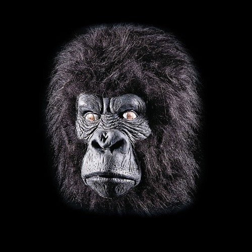 Maschera gorilla con pelo - gorilla, in
