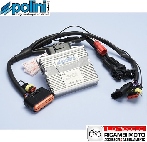 171 0019 centralina ecu - centralina, polini