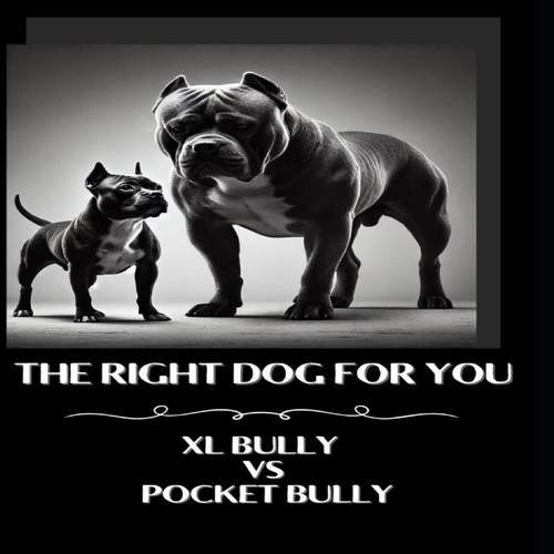 The right dog for you - , xl