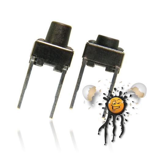 Microinterruttore