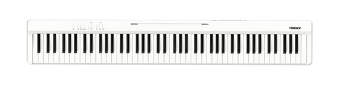 Terence v20 pianoforte - terence,