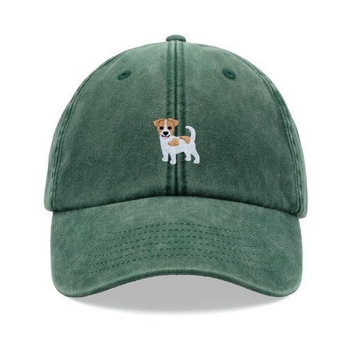 Jack russell cane terrier - cane,