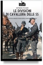 Le divisioni di cavalleria