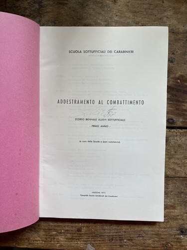 Addestramento combattimento - al,