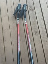 bastoncini da sci leki