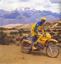 Honda NX650 Dominator - Camel