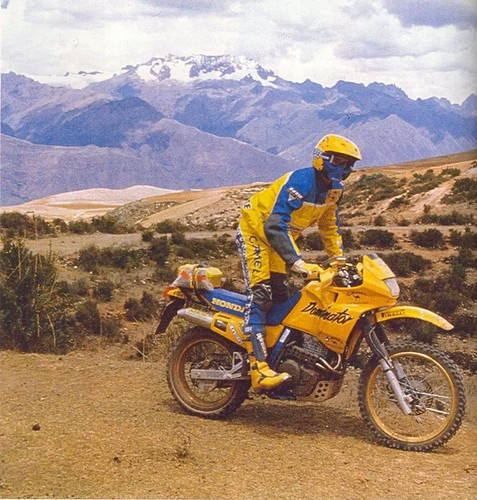 Honda nx650 dominator camel - -,