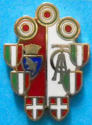 Distintivo spilla pin - distintivo,