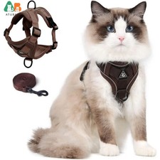 Set Pettorina+Guinzaglio