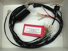 Kawasaki H1D (set cablaggio