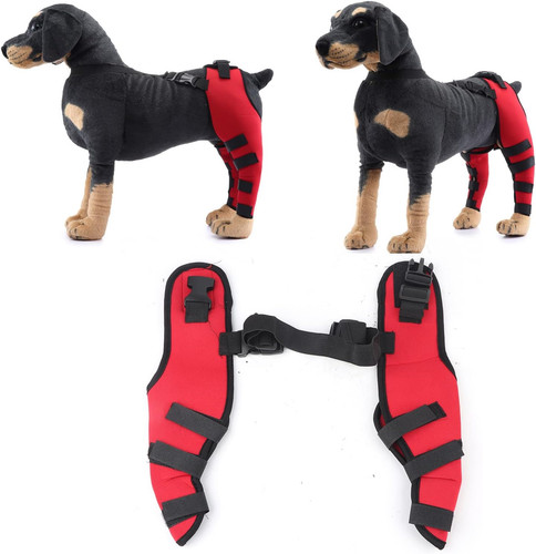 Ginocchiera per cani tutore - ginocchiera, cani,