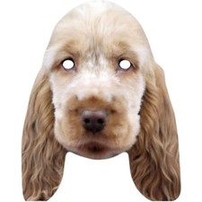 Maschera viso Golden Cocker