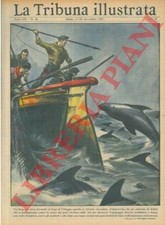 Pisani V. -  Un bragozzo che