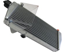 Radiatore e tappo Go Kart