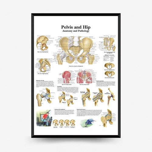 Poster parete apprendimento - da,
