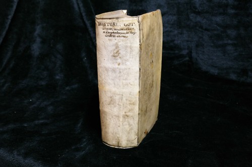 Hugo grotius historia - hugo,