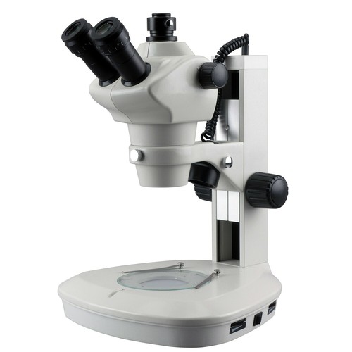 Microscopio trinoculare - microscopio,