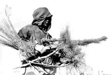 Quadro Repro WW2 WW2 guerra