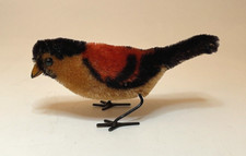 PICK PICK BIRD SCHUCO