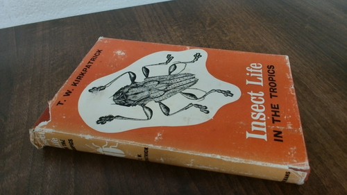 Insect life in the tropics - insect,