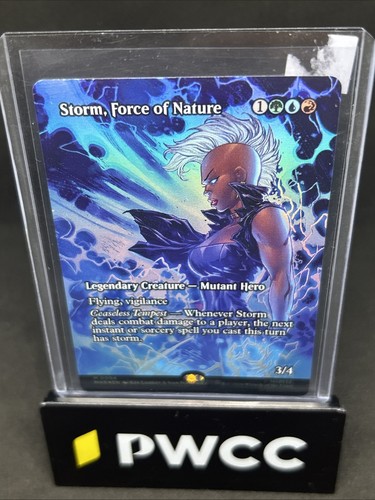 Mtg magic the gathering storm - the,