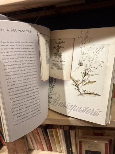 Libro virtu delle - libro, virtu'