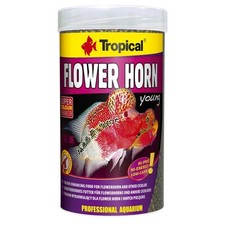 Tropical flower horn young - tropical,