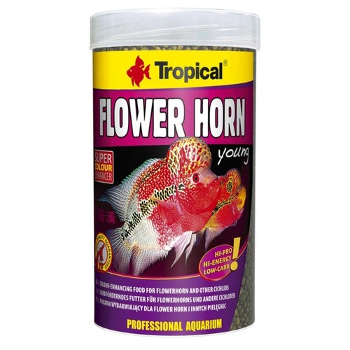 Tropical flower horn young - flower,