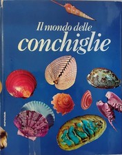 Il mondo delle conchiglie