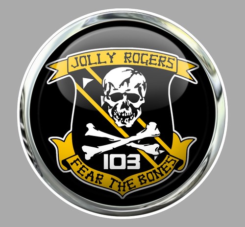 Grumman tomcat f14 - grumman, badge