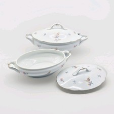 2 x Eschenbach Baviera |