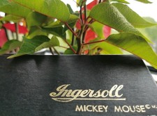 Orologio da polso Ingersoll