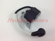 Bobina accensione motore ZOMAX