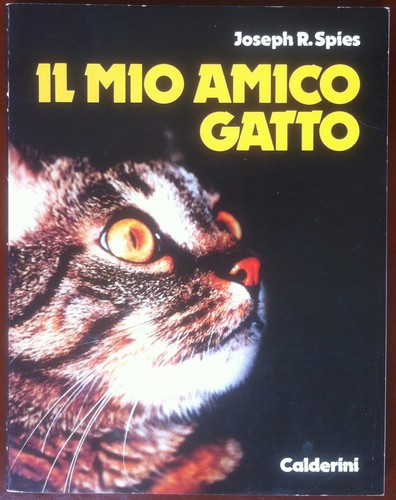 Libro book spies il - libro,
