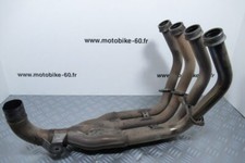 Collettore Yamaha FZ6 600