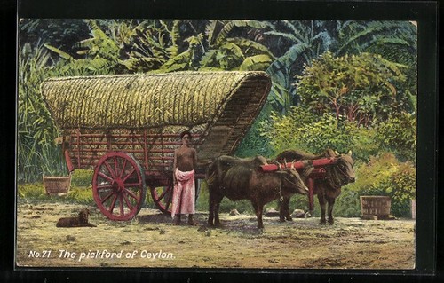 Cartolina carro buoi ceylon - buoi, su