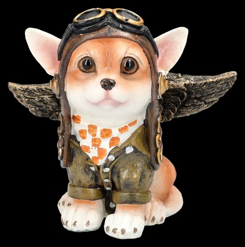 Statua cane chihuahua abito - statua, in